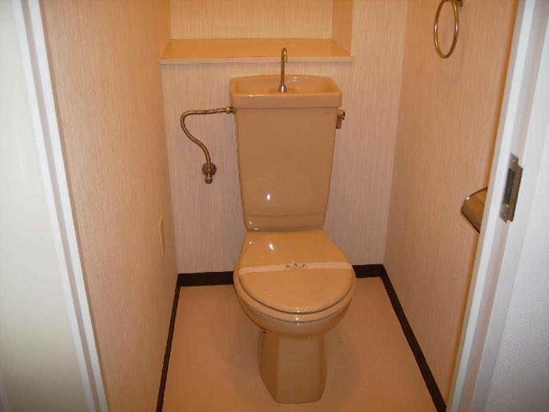 Toilet. Toilet