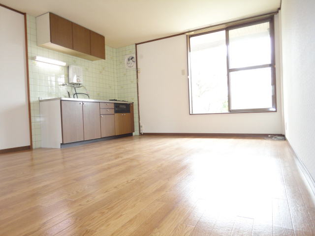 Living and room. First floor LDK ^^