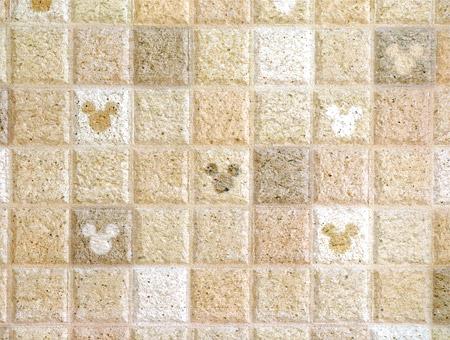 Model house photo. Mickey siding