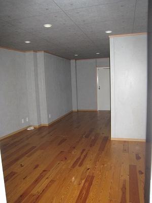 Other introspection. Room (August 2013) Shooting