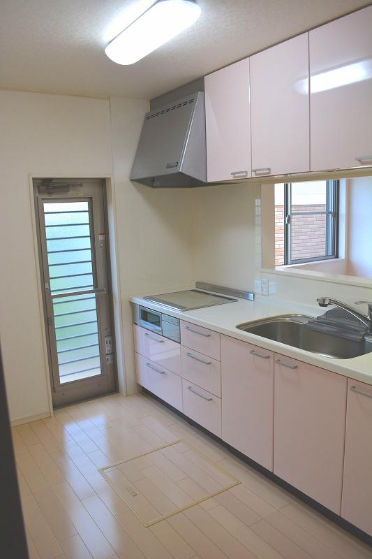 Kitchen. Local (September 2013) Shooting