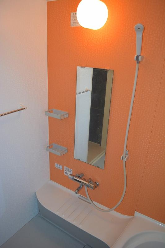 Bathroom. Indoor (September 2013) Shooting