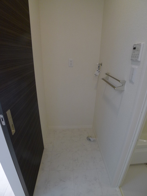 Other. It is indoor washing machine Storage.