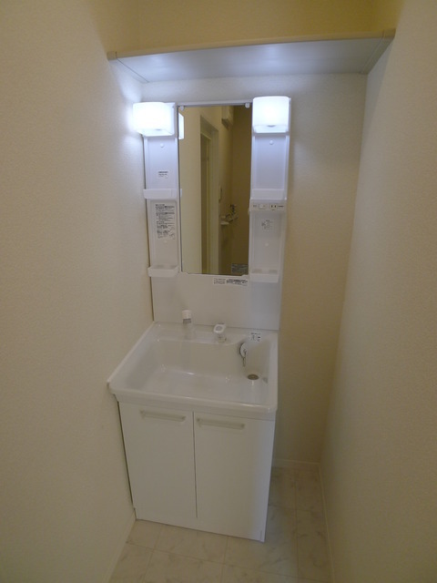 Washroom. Shampoo dresser of wide mirror.