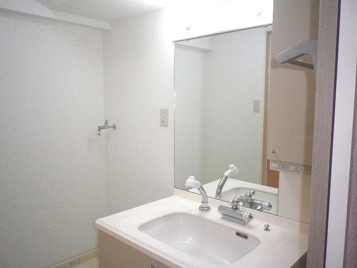 Washroom. Shampoo dresser