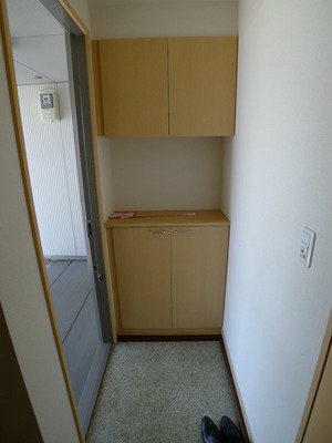 Entrance. Entrance with a bright shoebox