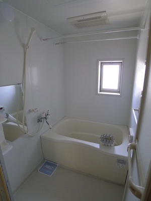 Bath. Spacious bathroom