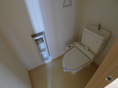 Toilet. WC cleaning toilet seat