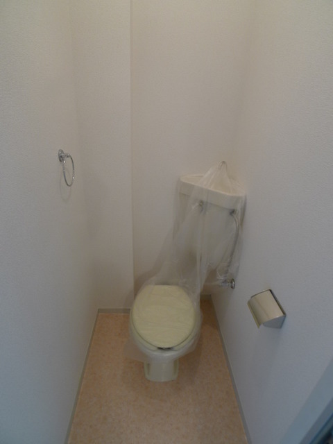 Toilet. Simple type, Cleaning is a breeze.