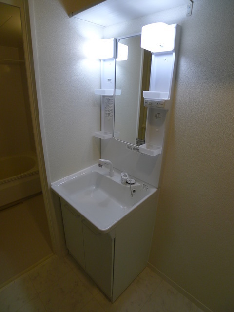 Washroom. Shampoo dresser of wide mirror