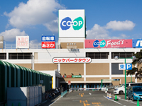 Home center. Nickel Parktown up (home improvement) 1287m