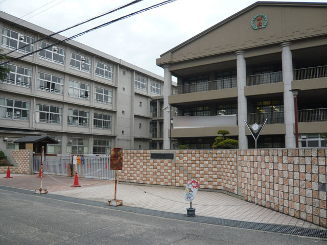 Primary school. Hommock up to elementary school (elementary school) 423m