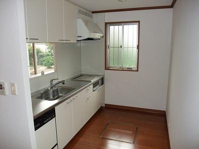 Kitchen. Indoor (11 May 2013) Shooting