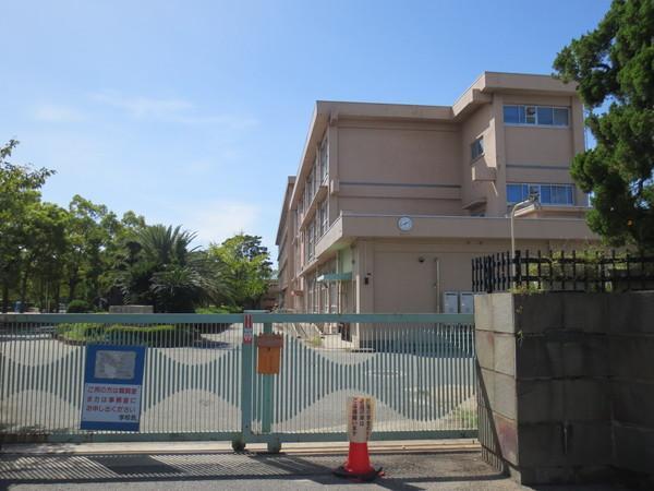 Other. It is a shoebox of a large capacity.