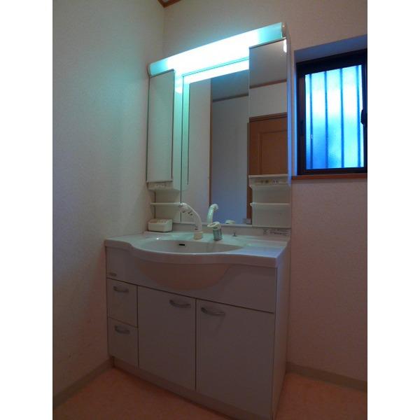 Wash basin, toilet. Bathroom vanity
