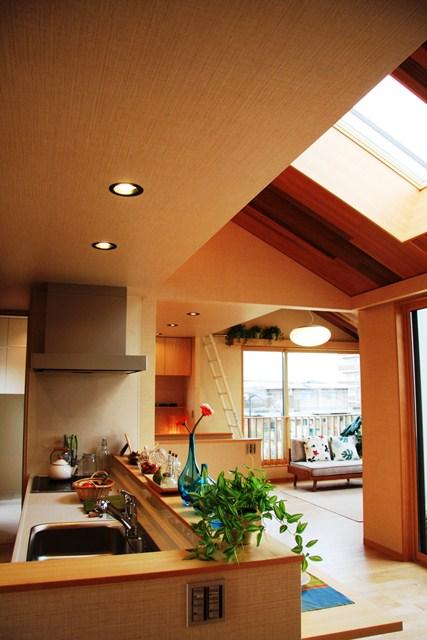 Other. Night dropped the lighting, We established the top light so that can enjoy dinner while watching the starry sky. 