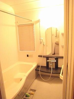 Bathroom. Indoor (June 2012) shooting bathroom