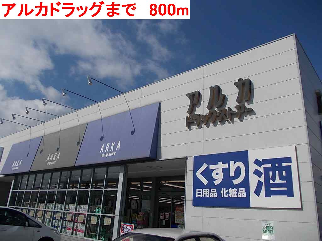 Dorakkusutoa. 800m until Arca drag (drugstore)