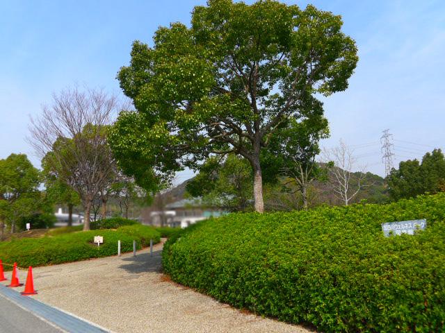 library. Kakogawa 3017m until the Wellness Park Library