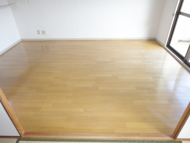 Living and room. Living ^^ from the Japanese-style room