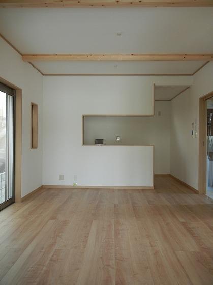 Living. Indoor (July 2013) Shooting