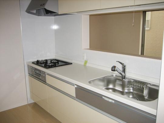 Kitchen. Indoor (11 May 2013) Shooting