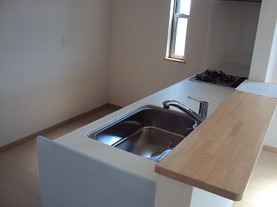 Kitchen. Indoor (11 May 2013) Shooting