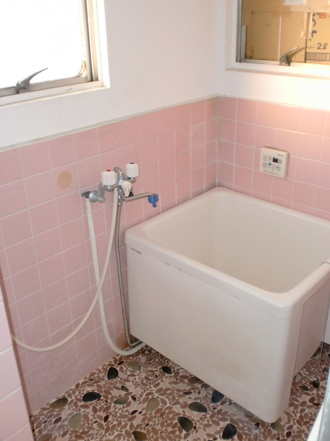 Bath. Shower! With window!