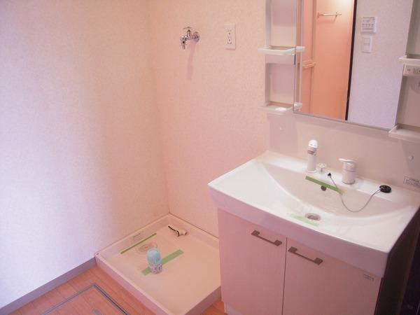 Washroom. Washing machine Storage