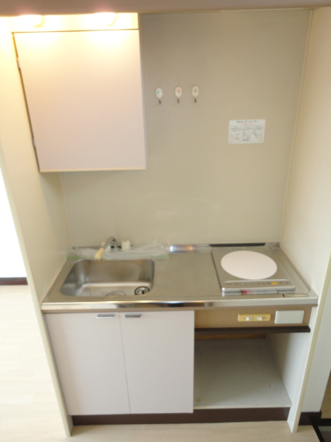 Kitchen. IH stove ^^