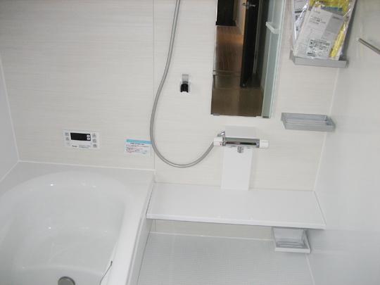 Bathroom. Indoor (11 May 2013) Shooting