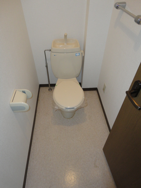 Toilet. Spacious toilet!