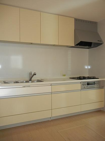 Kitchen. Indoor (11 May 2013) Shooting