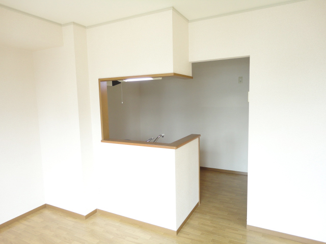 Kitchen. Popular counter kitchen ^^