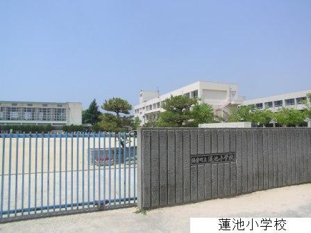 Primary school. 500m to Harima-cho, stand Lotus Pond Elementary School