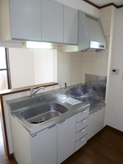 Kitchen. Face-to-face kitchen