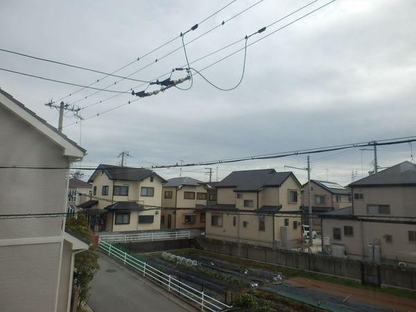 View photos from the dwelling unit