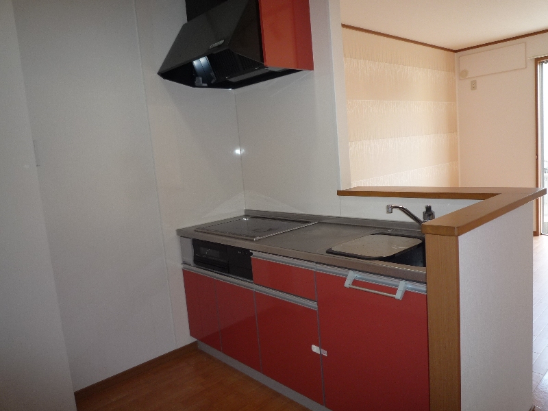 Kitchen. Stylish face-to-face kitchen