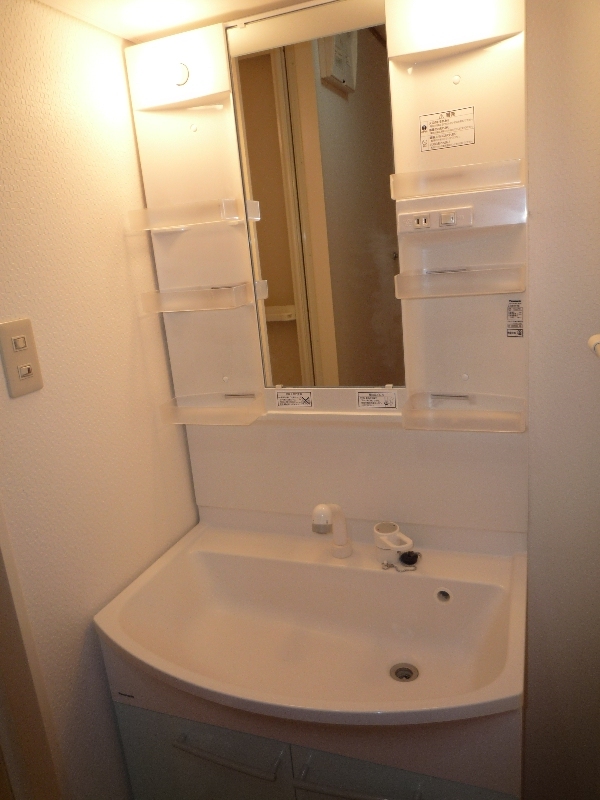 Washroom. Shampoo dresser