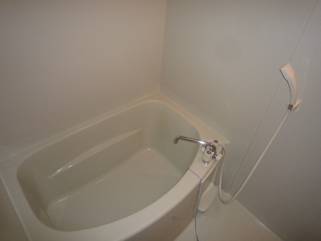 Bath. Also it comes with a shower.