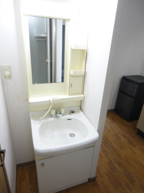 Washroom. Washbasin with shower!