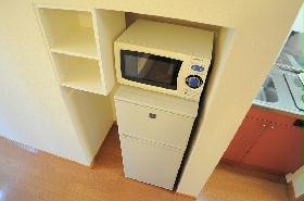 Other. Electrical appliances will be doing present state