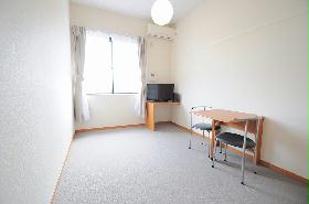 Living and room. Functional studio 2F carpet