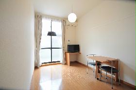 Living and room. Functional studio 1F flooring