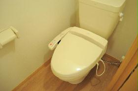 Toilet. It is with a comfortable warm water washing toilet seat