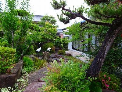 Garden. Local (June 2013) Shooting