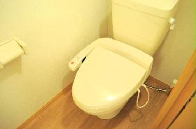 Toilet. It is with a bidet.