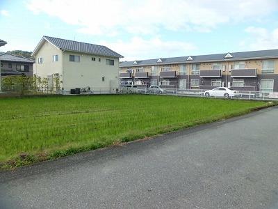 Local land photo. Local (11 May 2013) Shooting