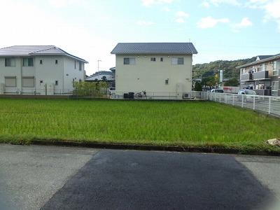 Other local. Local (11 May 2013) Shooting