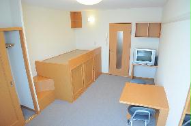 Living and room. Functional studio 2F carpet